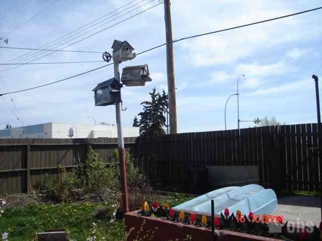 Highland Park House for Rent in Calgary - OHS Listing # 1878